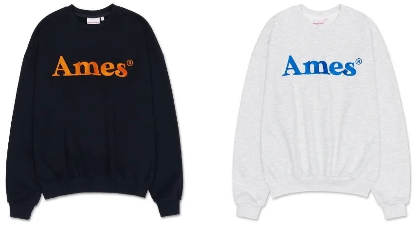 AMES-WORLDWIDE  |Unisex Street Style Plain Oversized Long Sleeve T-shirt Logo