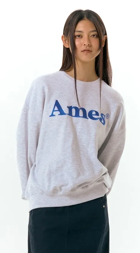 AMES-WORLDWIDE  |Unisex Street Style Plain Oversized Long Sleeve T-shirt Logo