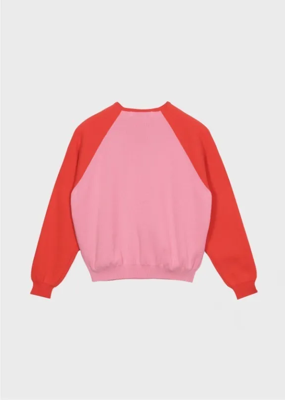 haag  |Street Style U-Neck Long Sleeves Cotton Long Sleeve T-shirt